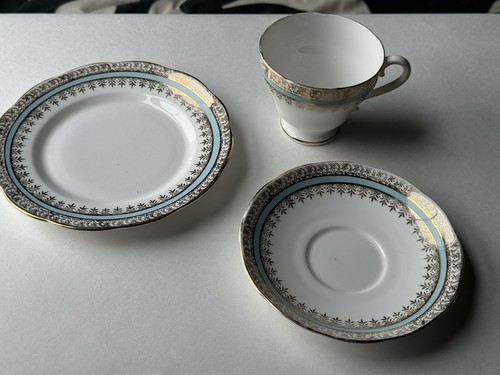 Salisbury bone china - tea, cup