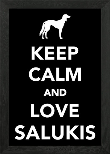 Saluki framed wall art poster - saluki,