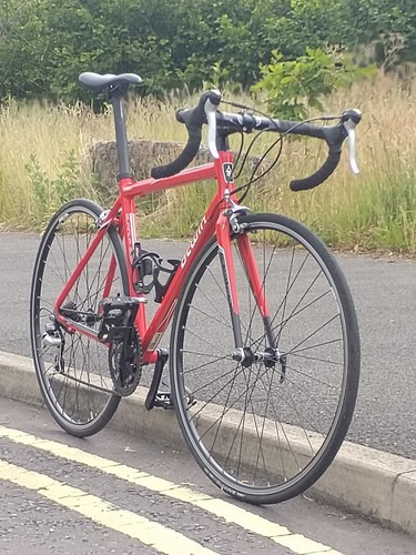 Unisex triban road bike - unisex,
