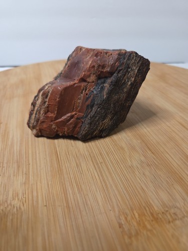 Natural petrified wood rough - natural,