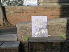 John Lewis & Partners - Ocean