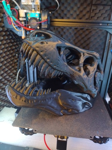 Rex tyrannosaurus skull - t-rex,