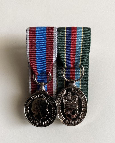 Queens platinum jubilee medal - platinum,