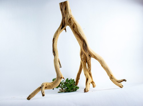 Manzanita aquarium driftwood - manzanita,