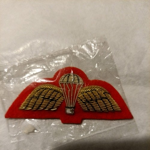 No1 para wings badge mess - para,