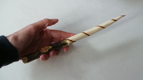 Holly wood wand - pagan,, druid