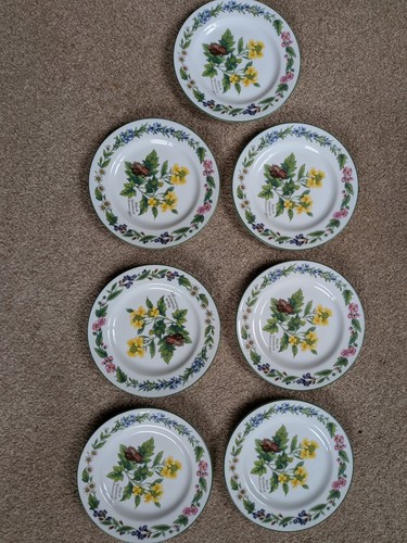 Royal worcester herbs - herbs, black