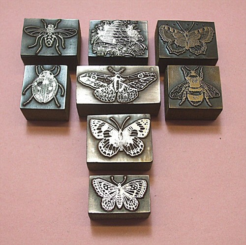 Bees butterflies - "bees, &