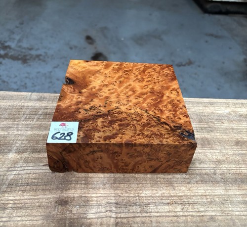 Thuya burr 6 x - burr, 2”