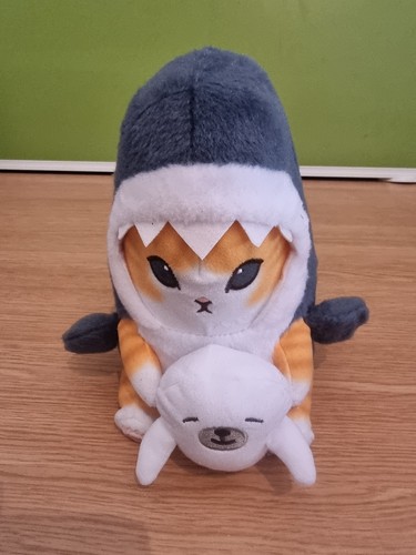 Cute cat sharks - cute,