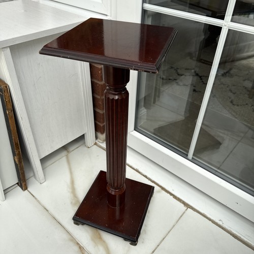 Tall indoor wooden plant - indoor,