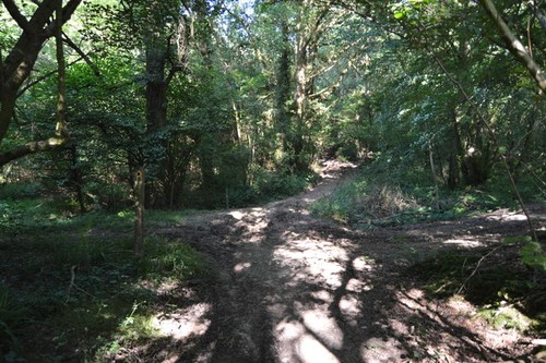 Photo 6x4 hoad - photo,