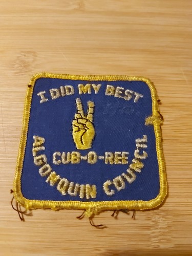 Boy scouts america did - of,
