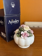 Aynsley Natures Delights