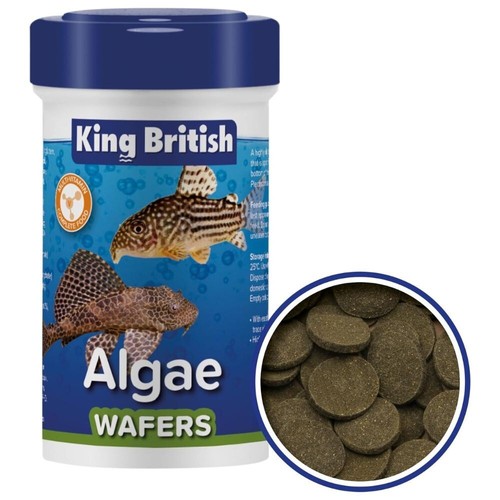 King british algae - king,