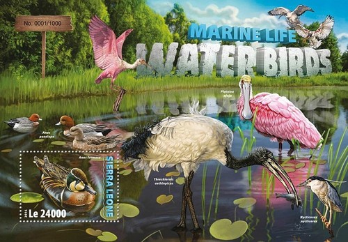 Waterbirds value mnh water - mnh,