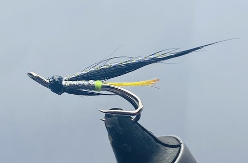 Silver stoat sea - x,