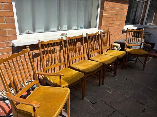 Stag vintage chairs - chairs, and