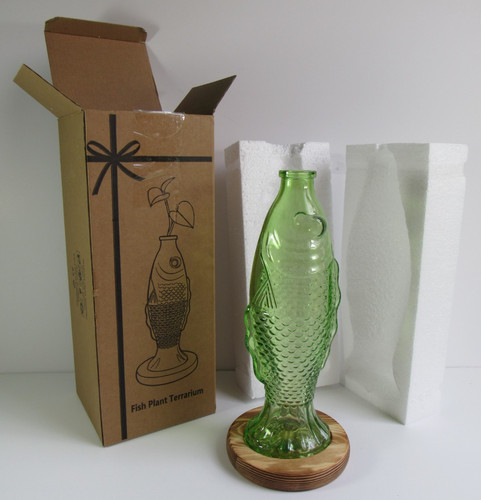 Terrarium planter green glass - terrarium,