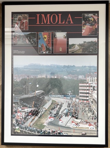 Ayrton senna autograph - ayrton,