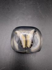 Vintage Resin White Butterfly