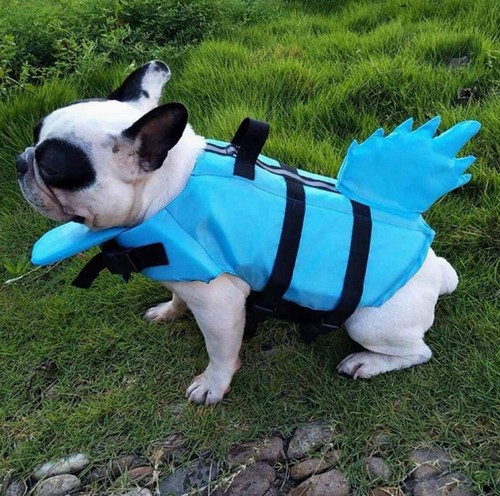 Dog life jacket with shark - life, fin