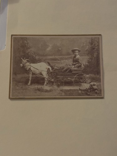 Antique cabinet card - photo, boy