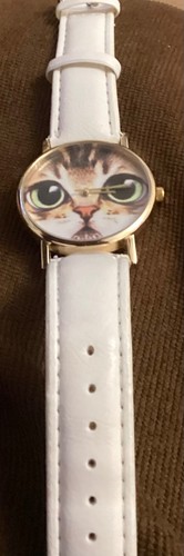 Cat watch big eyes - cat,
