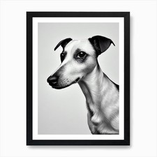 Rat Terrier B&W Pencil Dog Art