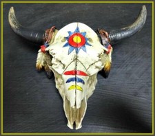Western Mini Cow Bull Skull