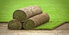 Real Grass Turf