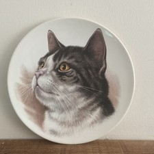 POOLE POTTERY COLLECTABLE PLATE Beautiful Grey Tabby Cat 15cm