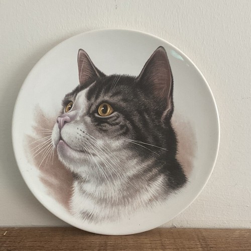 Poole pottery collectable - poole,