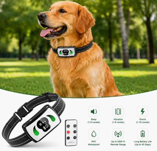 Anti bark collar - collar, &