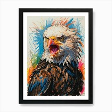 Bald Eagle 8 Art Print Framed