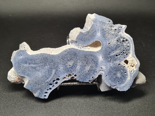 Blue ridge coral slice - ridge,