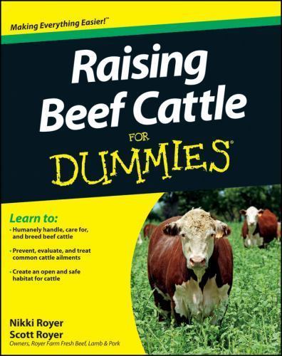 Raising beef cattle for - raising,