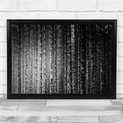 Tree trunk black white - black,