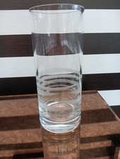 Leonardo Etched Glass Vase, 8" High, Great Condition