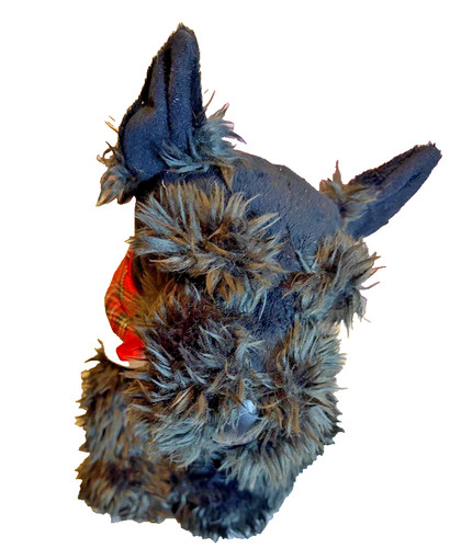 Scottie highland terrier - scottie/highland,