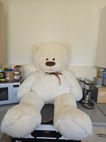 Giant teddy bear 120cm - giant,