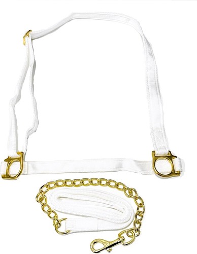 Welsh show halter with - welsh,