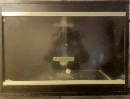 Small vivexotic vivarium