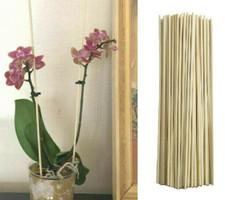 Bamboo Wooden Plant Sticks