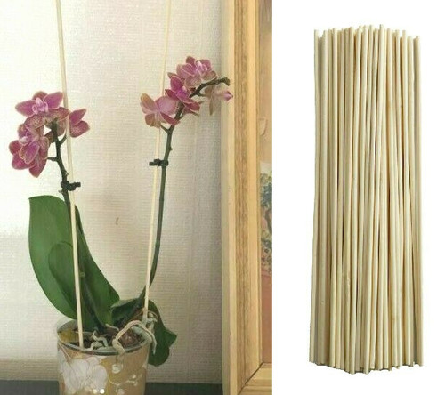 Bamboo wooden plant sticks - bamboo,
