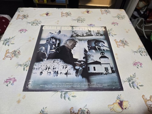 Charlie rich silver - silver, linings