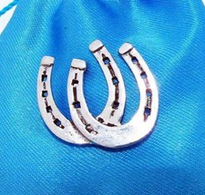 Lucky Horseshoe Pair English