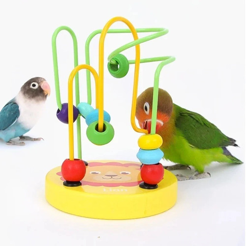 Bird foraging training - bird,