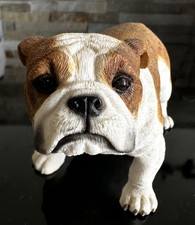 Leonardo Collection Figurines Dogs - Bulldog