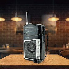 Lloytron Entertainer AM FM